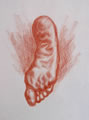 Michael Hensley Drawings, Human Feet 1